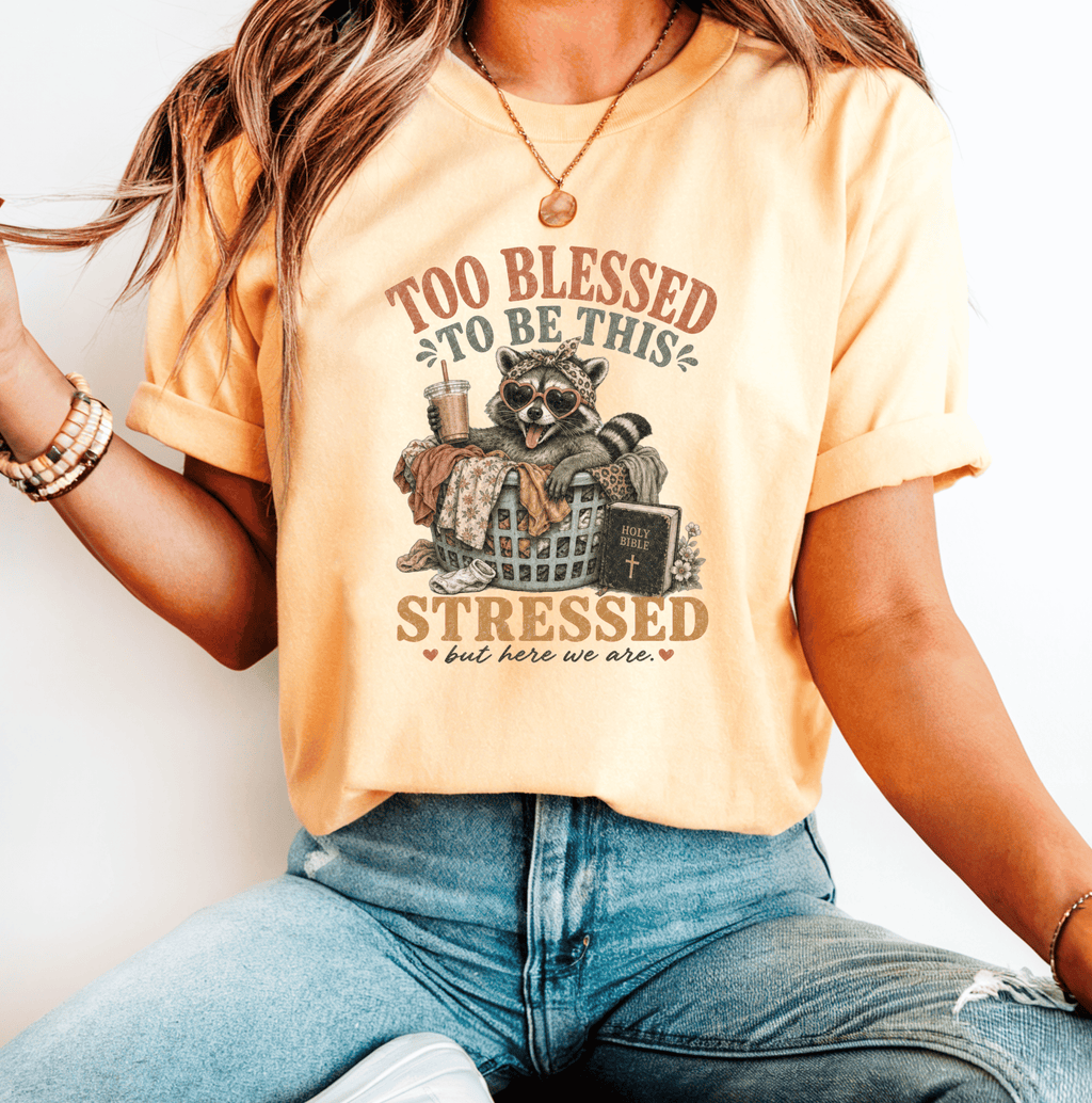 Too Blessed to Be This Stressed